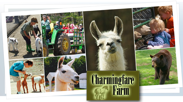 Charmingfare farm