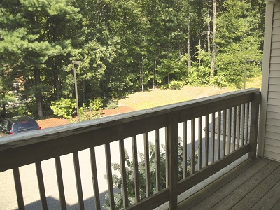 Balcony view of woods