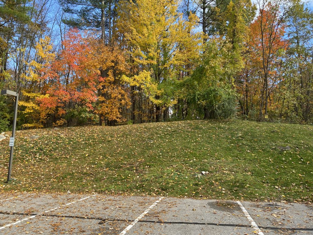 Hooksett Hollows Fall Foliage view