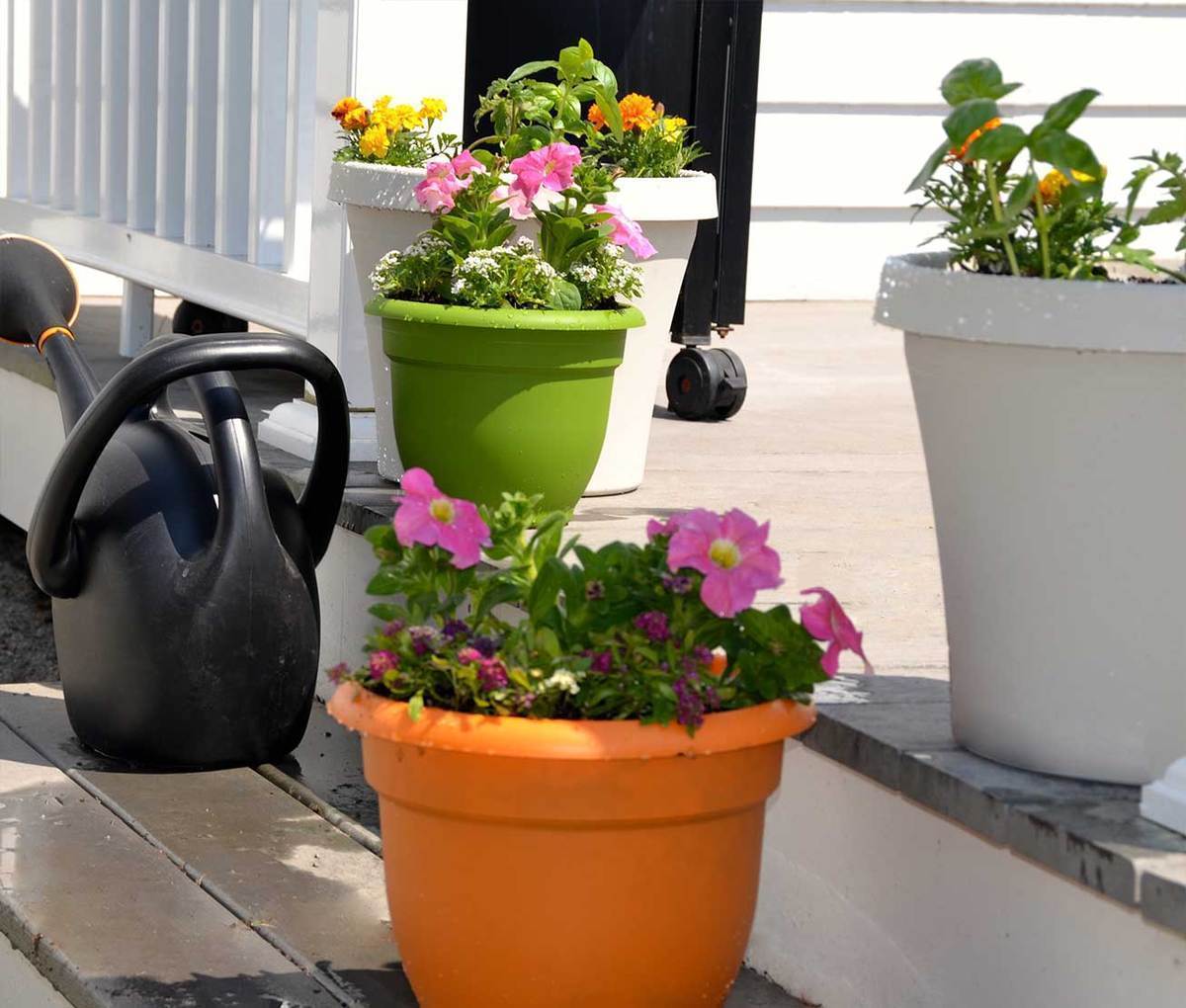 Container gardening on apartment balconies