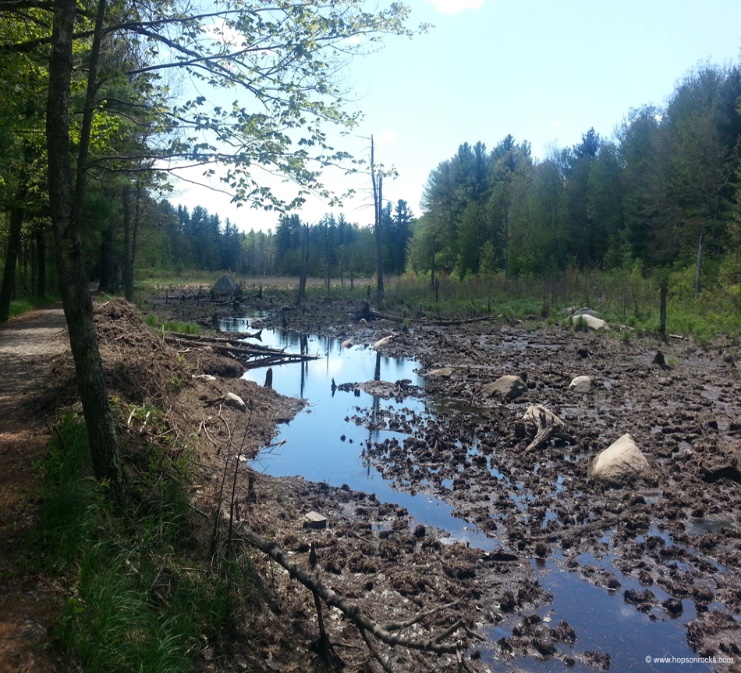 Granite town rail trail