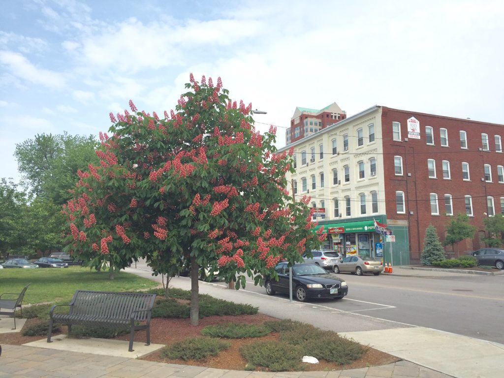 Affordable Manchester apartments at 64 Merrimack Street