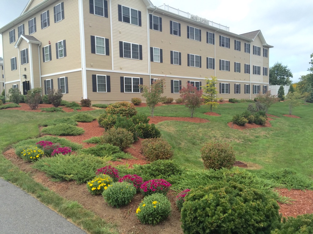 Mums in front of an apartment building