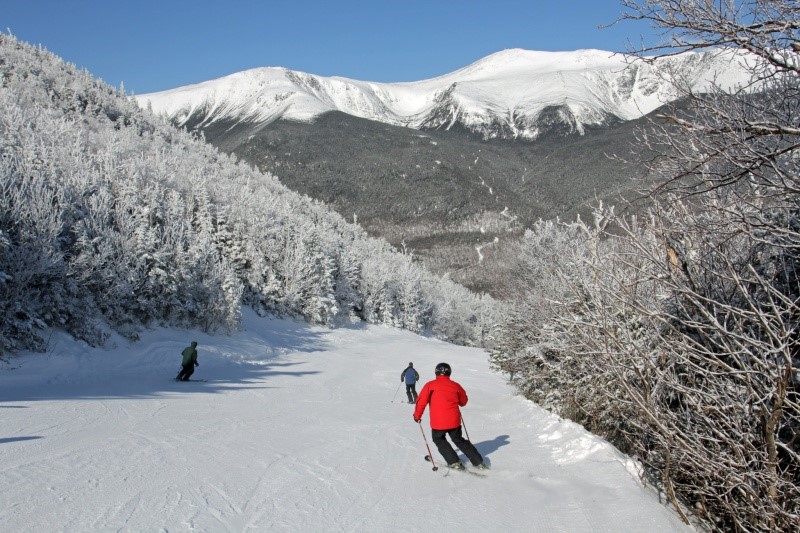 Skier in red jacket