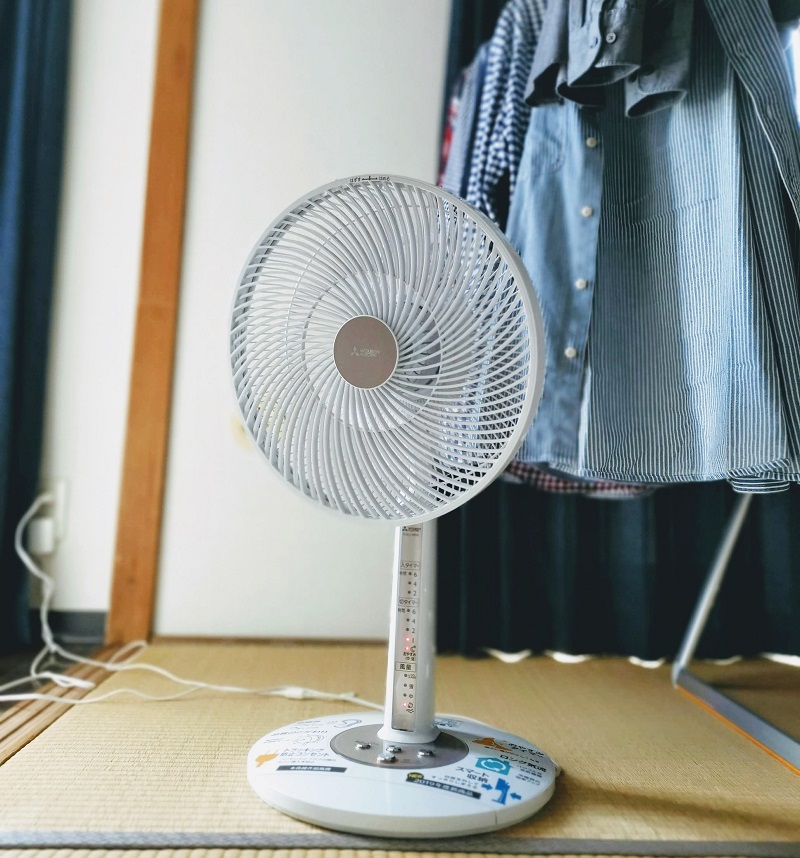 photo of fan