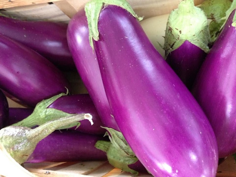 eggplant at farmer's market