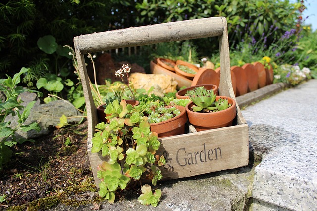 Grown Your Own Food