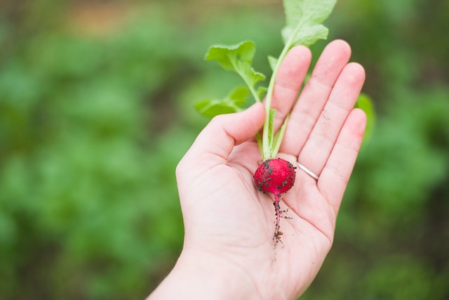 Grown Your Own Food