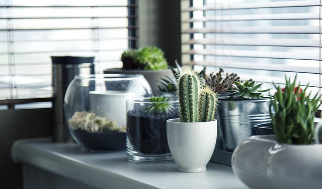 Going Green in your NH Apartment