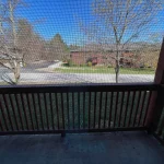 Thumbnail of 