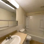 Thumbnail of 