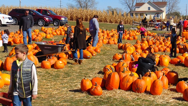 Fall in NH