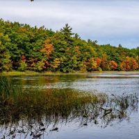 Discover the Charm of Manchester, NH: A Great Place to Live