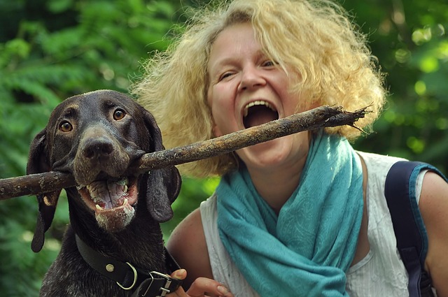 keeping your pet healthy in an apartment