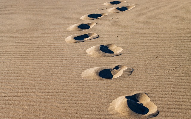 Beach Fun in New Hampshire