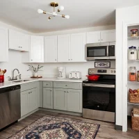 What to Expect when Apartment Renting in 2026