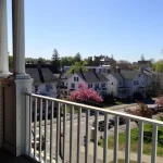 Thumbnail of 