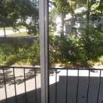 Thumbnail of 