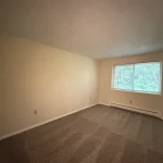 Thumbnail of 