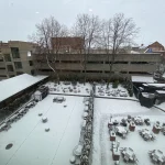 Thumbnail of 