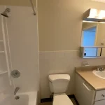 Thumbnail of 